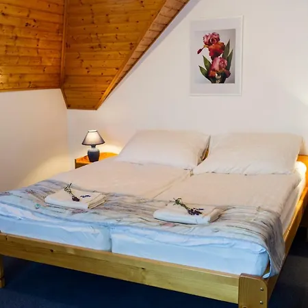 Gyorfi Apartmanhaz Apartment *