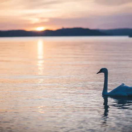 Gyorfi Apartmanhaz 아파트 *