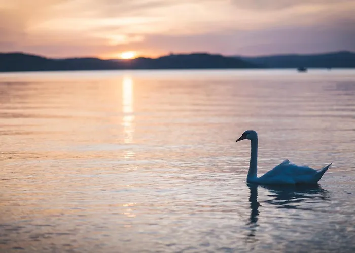 Gyorfi Apartmanhaz Apartament *